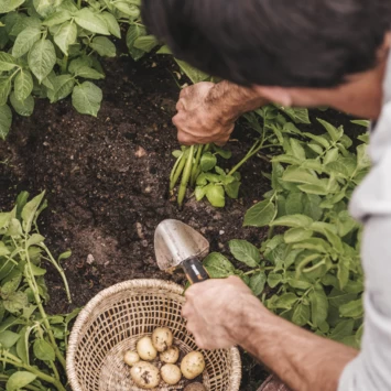 Fiskars Plantenschep - Afbeelding 3