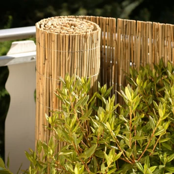 Balkonscherm Riet Ca. 90x300 Cm - Afbeelding 2