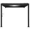 Pergola Classic Zwart 3x3 - 2 Palen