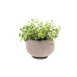 Bloembak Cozy S Zand Ø28 Cm Keter