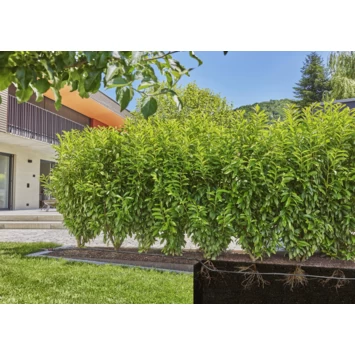 Gardena Micro Drip Druppelbuis 50 Meter Ondergronds En Bovengronds - Afbeelding 3