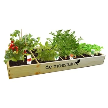 Moestuin Groenten: Mini Tomaten, Rucola, Parijse Worteltjes En Tuinkers - Afbeelding 2